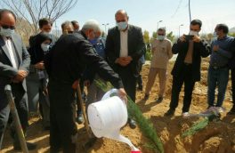 مراسم درختکاری به پاس زحمات مدافعین سلامت و تجلیل از شهدای شهرستان استهبان