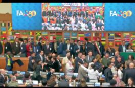 درخشش جهانی انجیر استهبان در مقر فائو ایتالیا 