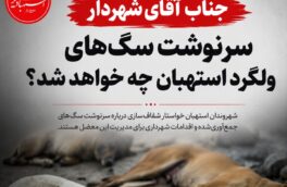 سرنوشت سگ‌های ولگرد استهبان چه خواهد شد؟