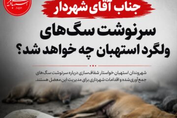 سرنوشت سگ‌های ولگرد استهبان چه خواهد شد؟