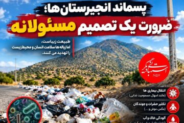 پسماند انجیرستان‌های استهبان، ضرورت یک تصمیم مسئولانه